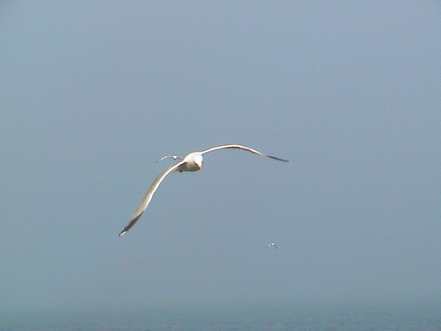 DSC00021.JPG