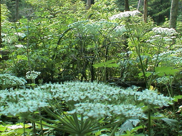 DSC00023.JPG