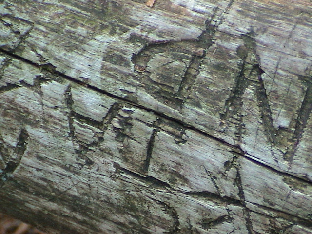 DSC00026.JPG