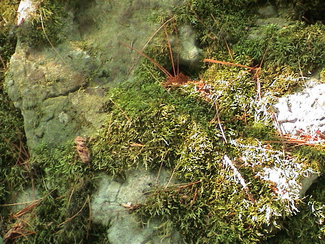 DSC00028.JPG
