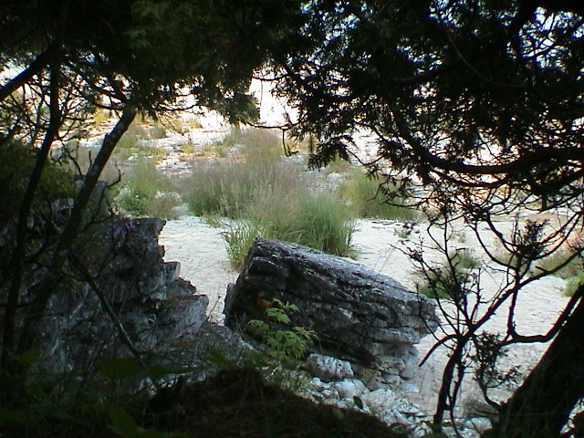 DSC00036.JPG