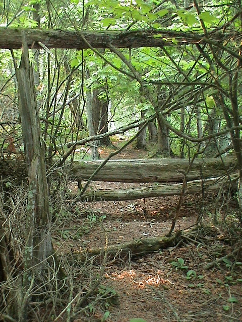 DSC00046.JPG