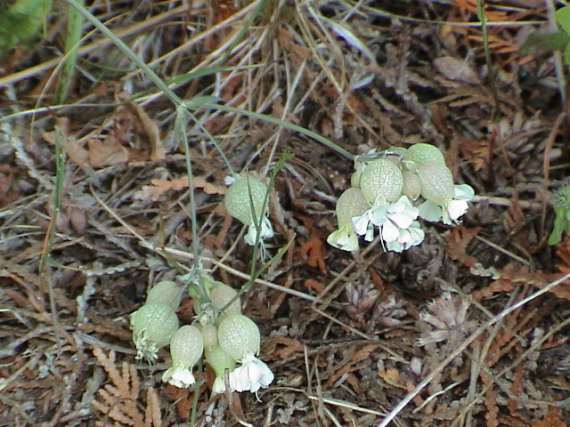 DSC00049.JPG