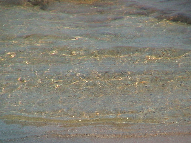 DSC00052.JPG