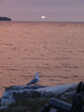 DSC00013.JPG