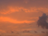 DSC00018.JPG