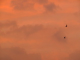 DSC00019.JPG