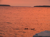 DSC00020.JPG