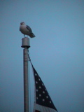 DSC00032.JPG