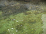 DSC00032.JPG