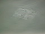 DSC00045.JPG