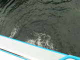 DSC00047.JPG