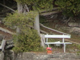 DSC00049.JPG
