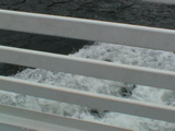 DSC00051.JPG
