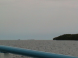 DSC00055.JPG