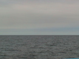 DSC00059.JPG