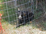 DSC00067.JPG