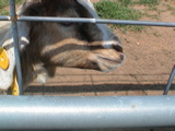 DSC00068.JPG