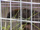 DSC00070.JPG