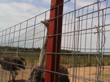 DSC00073.JPG