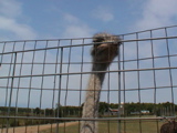 DSC00074.JPG