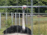DSC00075.JPG