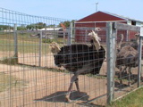 DSC00076.JPG
