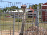 DSC00077.JPG