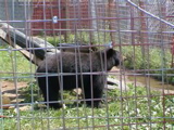DSC00079.JPG