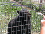 DSC00080.JPG