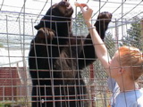 DSC00081.JPG
