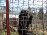 DSC00082.JPG