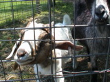 DSC00087.JPG
