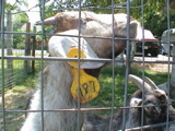 DSC00090.JPG