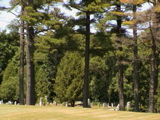 DSC00092.JPG