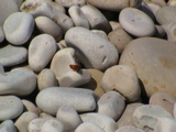 DSC00098.JPG