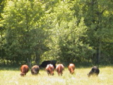 DSC00105.JPG
