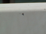 DSC00108.JPG