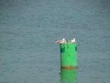 DSC00109.JPG