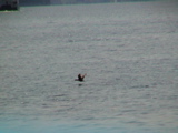 DSC00113.JPG