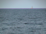 DSC00115.JPG