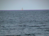 DSC00116.JPG