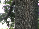 DSC00030.JPG