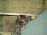 DSC00038.JPG
