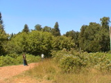 DSC00042.JPG