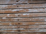 DSC00044.JPG