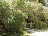 DSC00051.JPG
