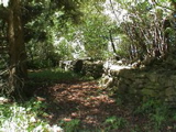 DSC00052.JPG