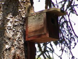 DSC00060.JPG