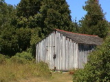 DSC00066.JPG